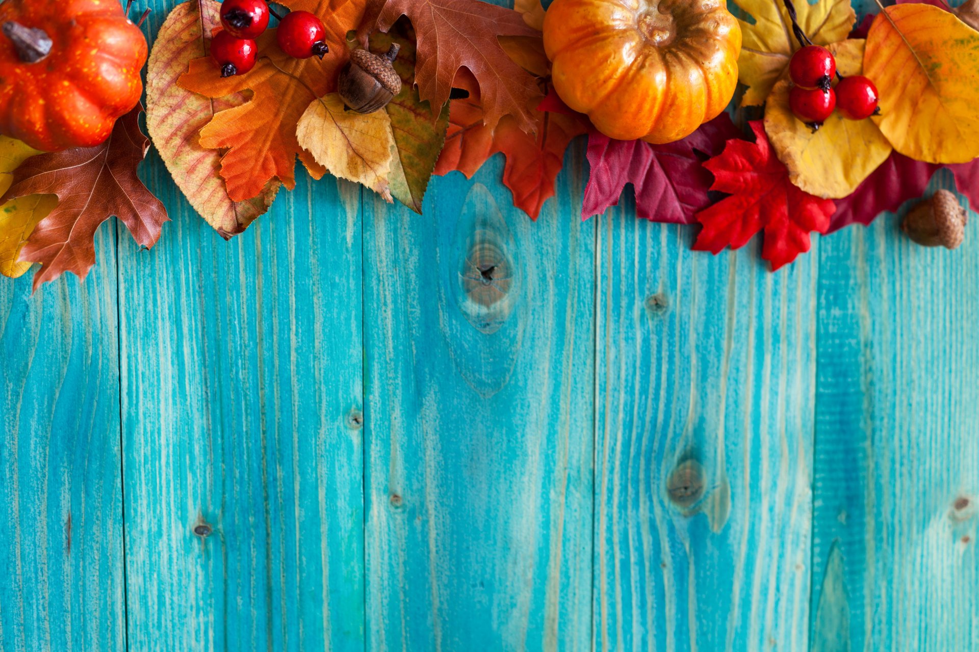 autunno foglie albero raccolto ghiande bacche zucche