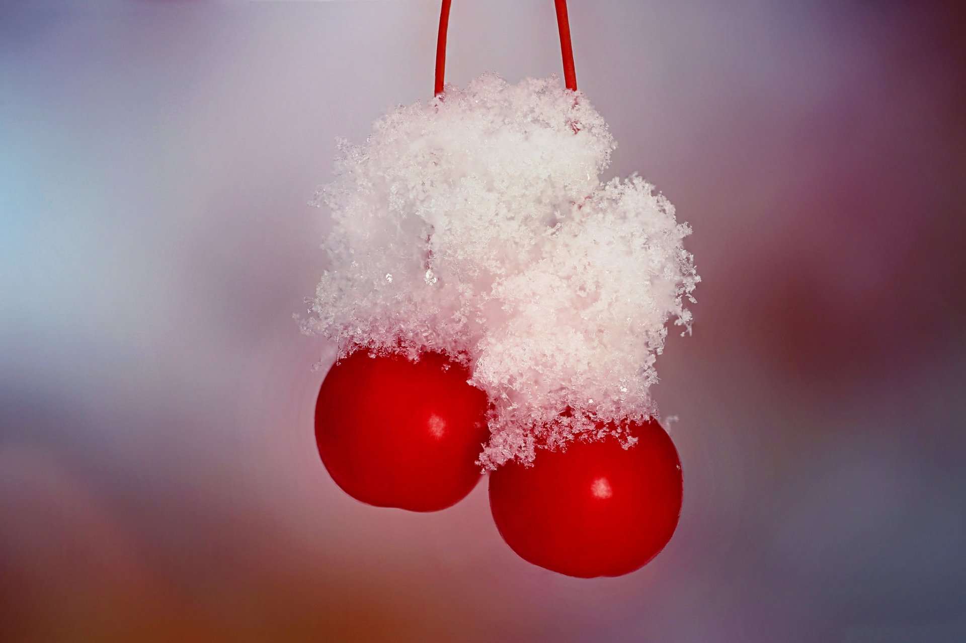 beeren kirschen kirschen schnee kristalle