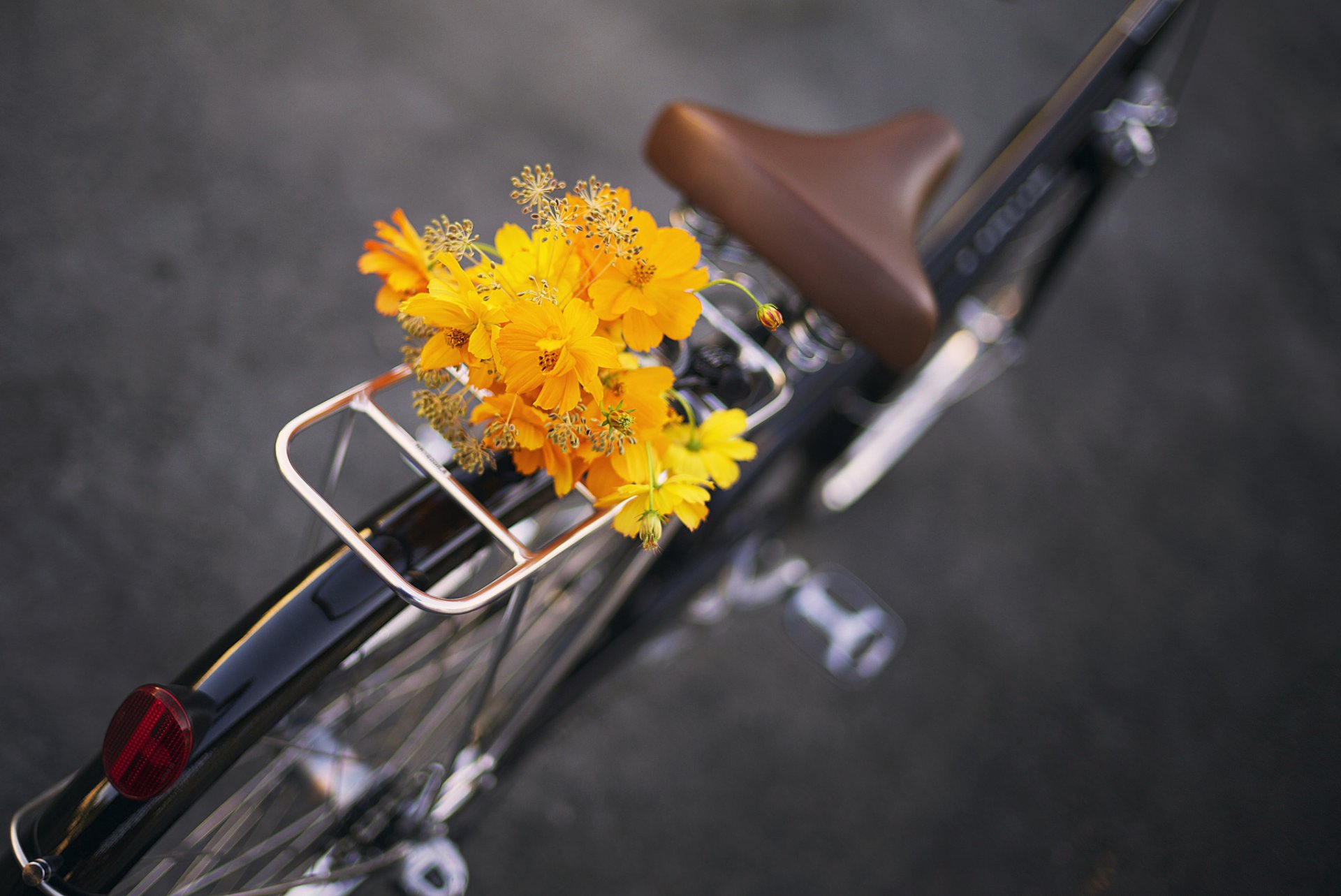 bicycle flowers bouquet