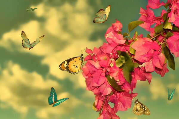 Una bandada de mariposas recoge polen en una flor