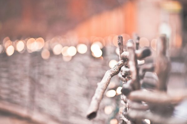 Wooden fence with bright lights on a cold winter day with a gentle blurred background