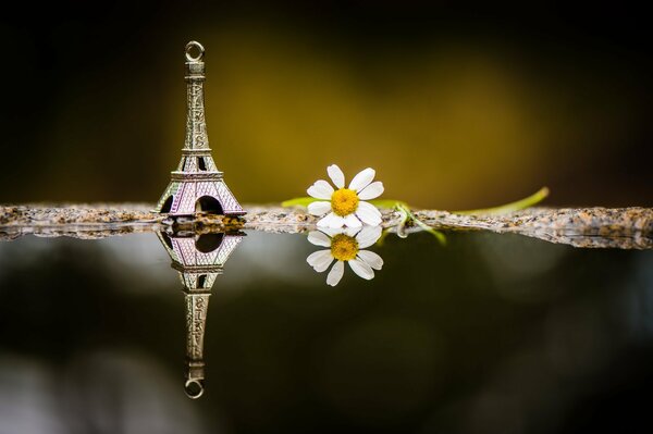 Eiffel Tower toy and daisy with reflection