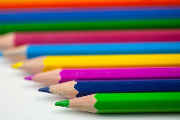 Crayons de couleur sur fond blanc