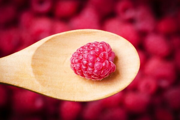 Baies de framboise sur une cuillère en bois