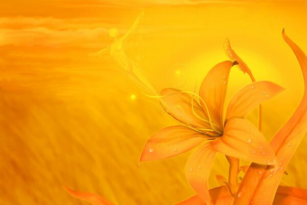 Beautiful desktop wallpapers. Orange Lily