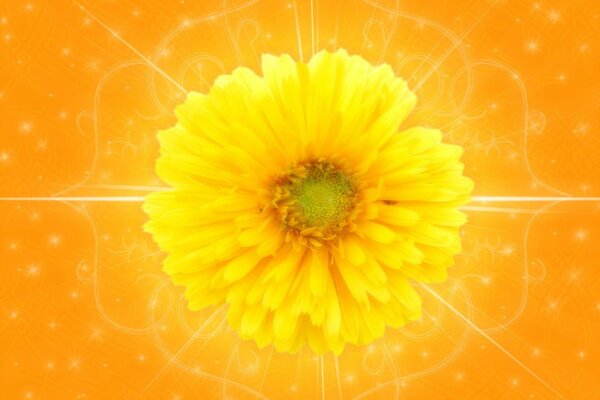 Gelbe Blume Desktop-Bildschirmschoner