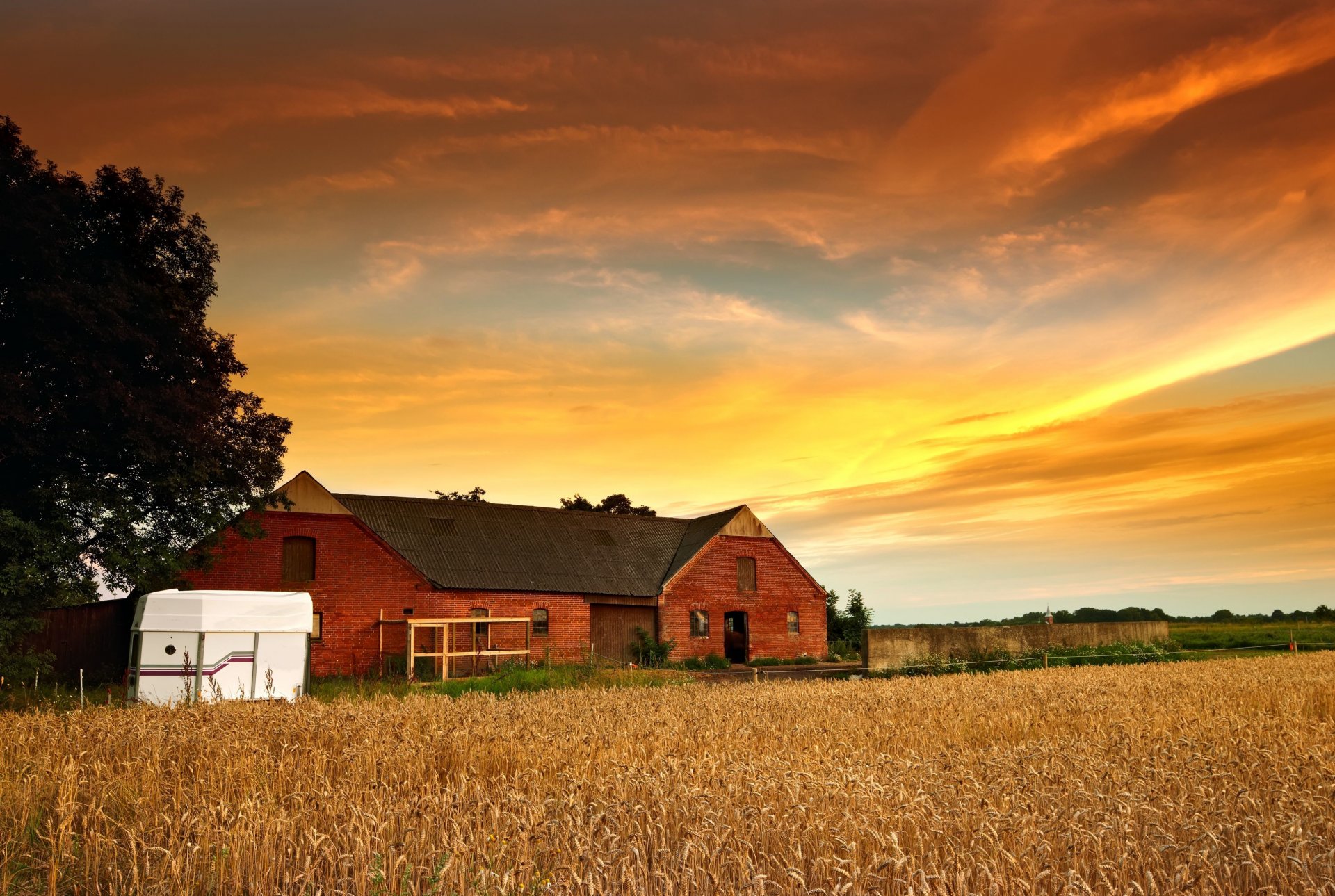 nature house house plant rye wheat trees tree leaves sun sky clouds background widescreen fullscreen wallpaper