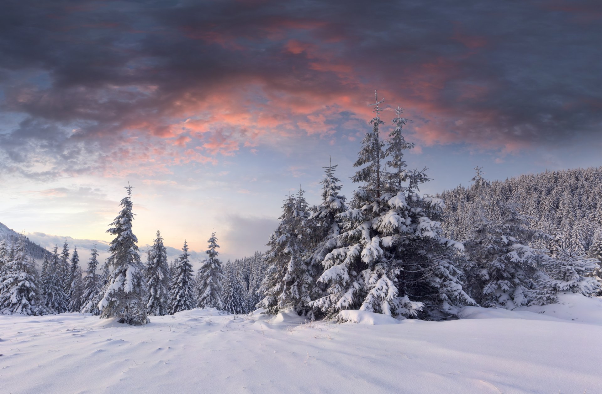 neve alba nuvole inverno foresta colline