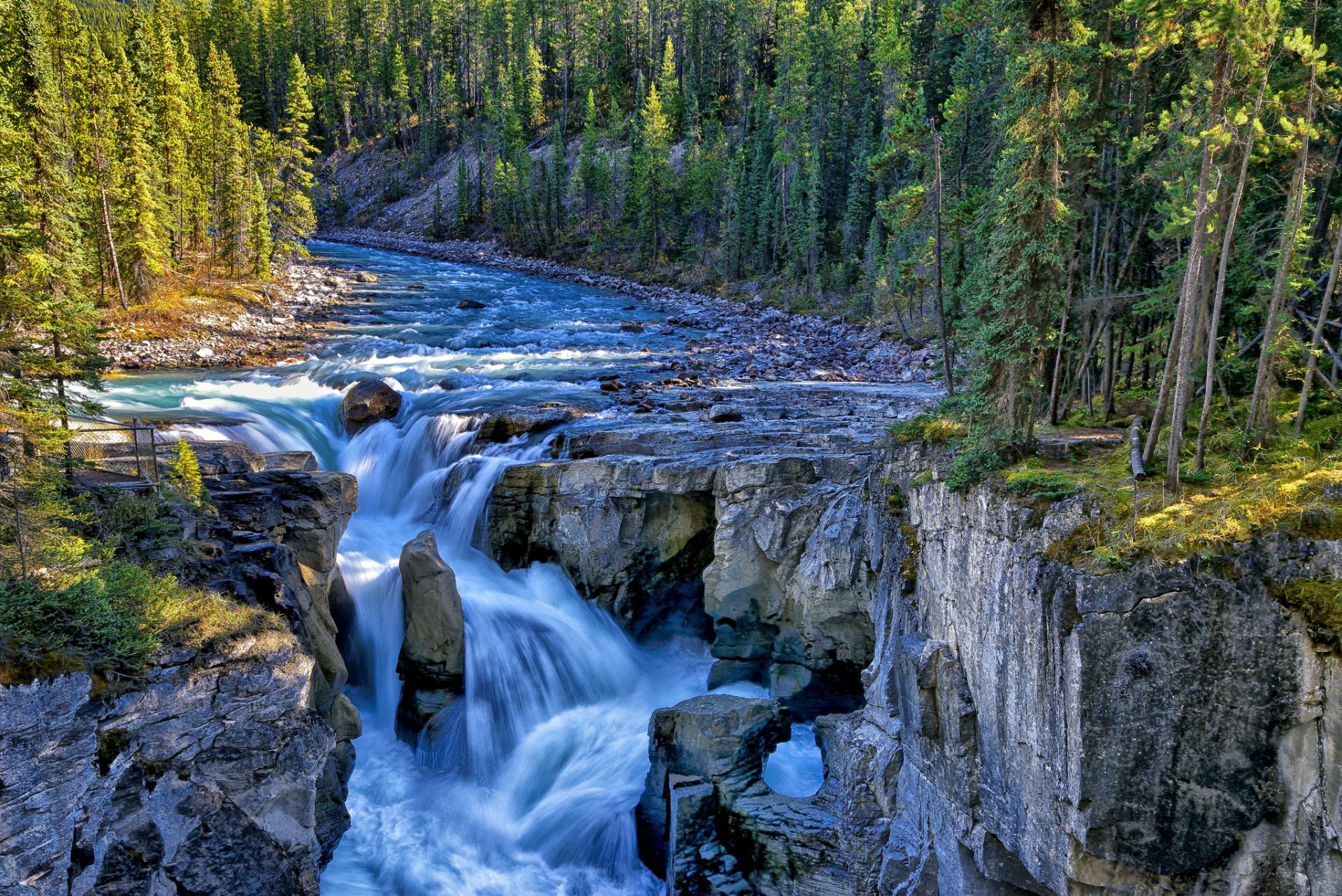 unwapta falls sunwapta river park narodowy jasper kanada wodospad rzeka skały las drzewa