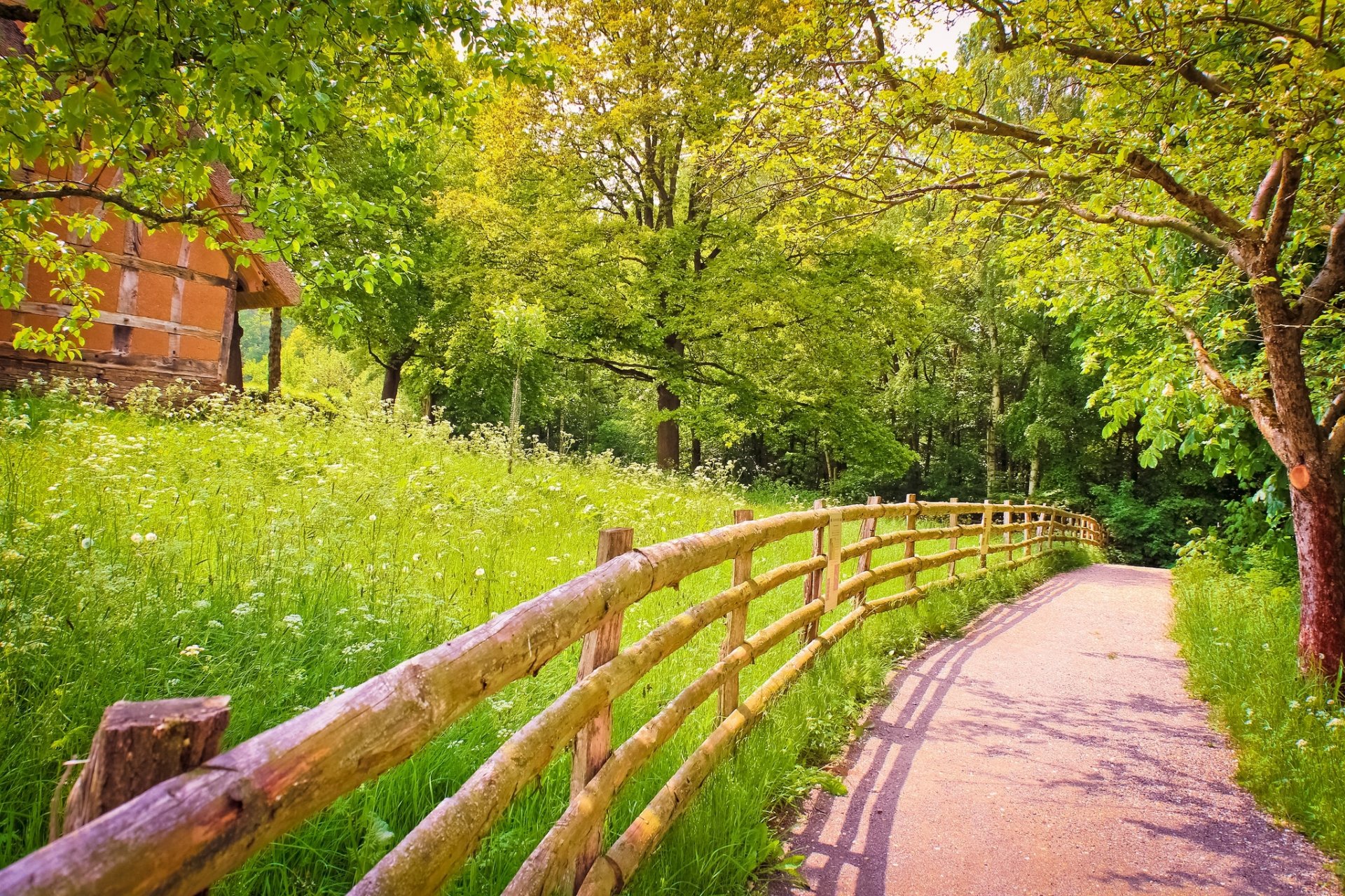 straße schatten zaun holz bäume gras grüns hütte sommer natur