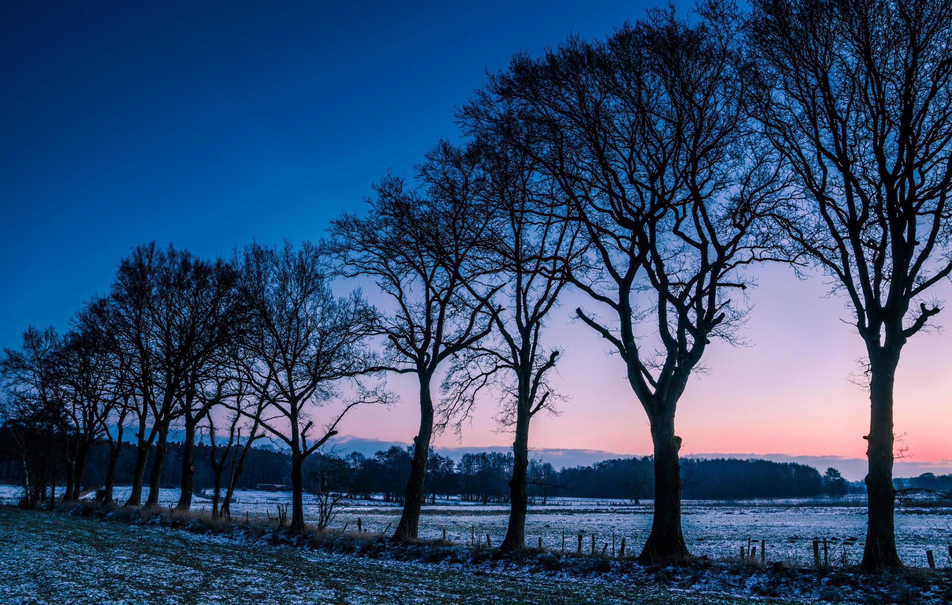 noruega campo claro árboles invierno escarcha mañana amanecer amanecer