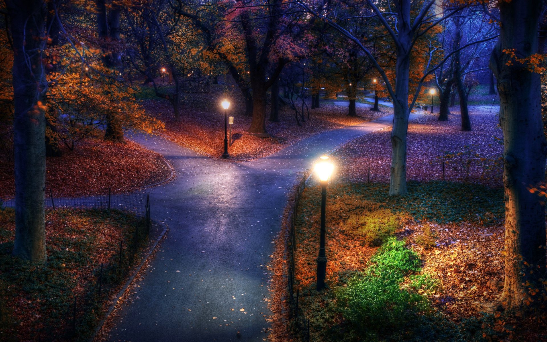 park night lamps forest tree autumn foliage alley