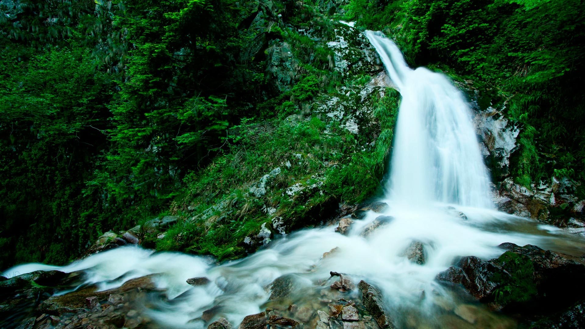 cascada agua piedras vegetación