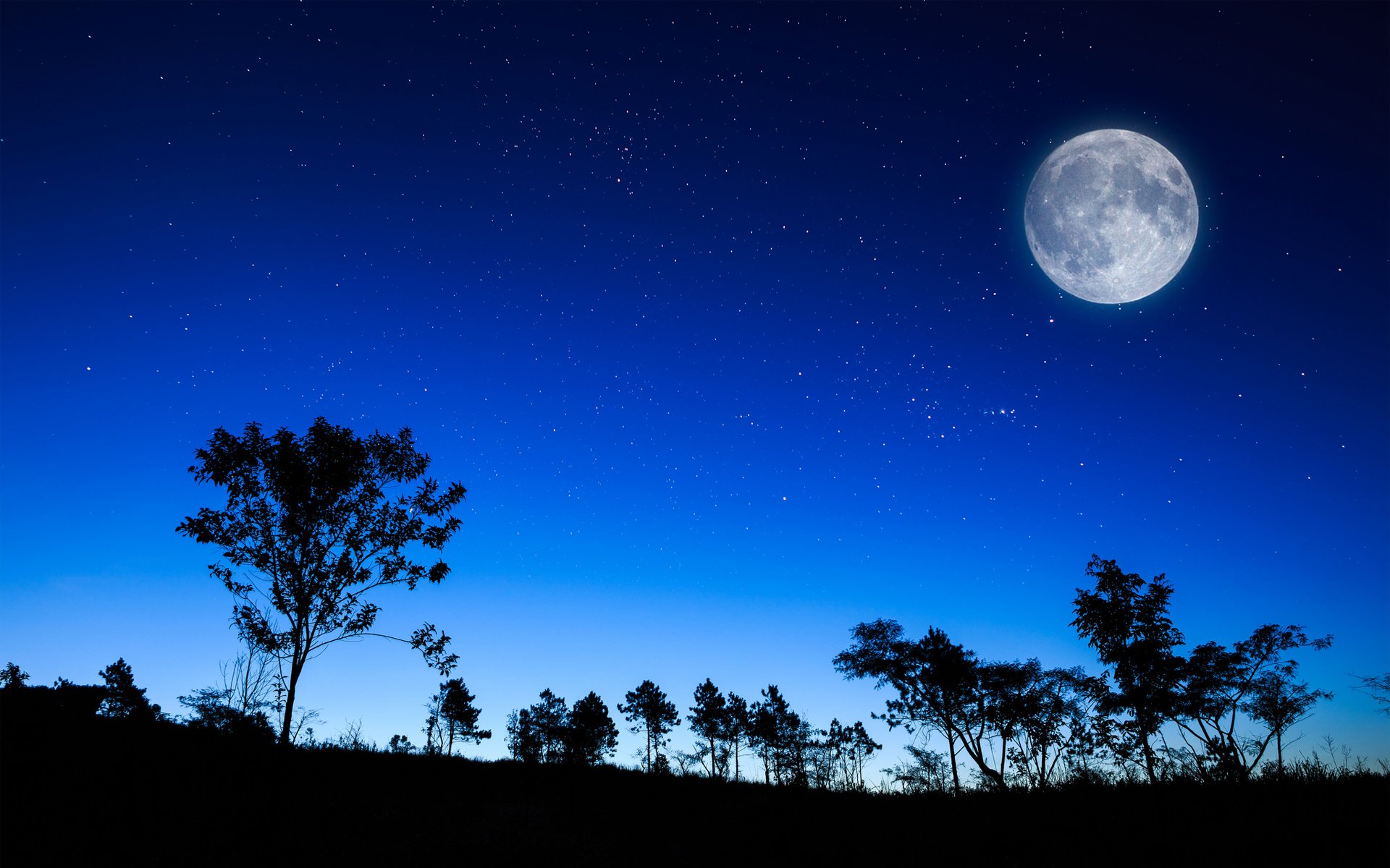 cielo noche estrellas luna siluetas árboles