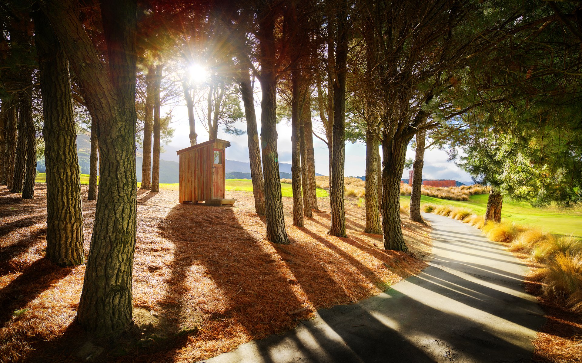 alberi sentiero casa di legno montagne natura sole raggi