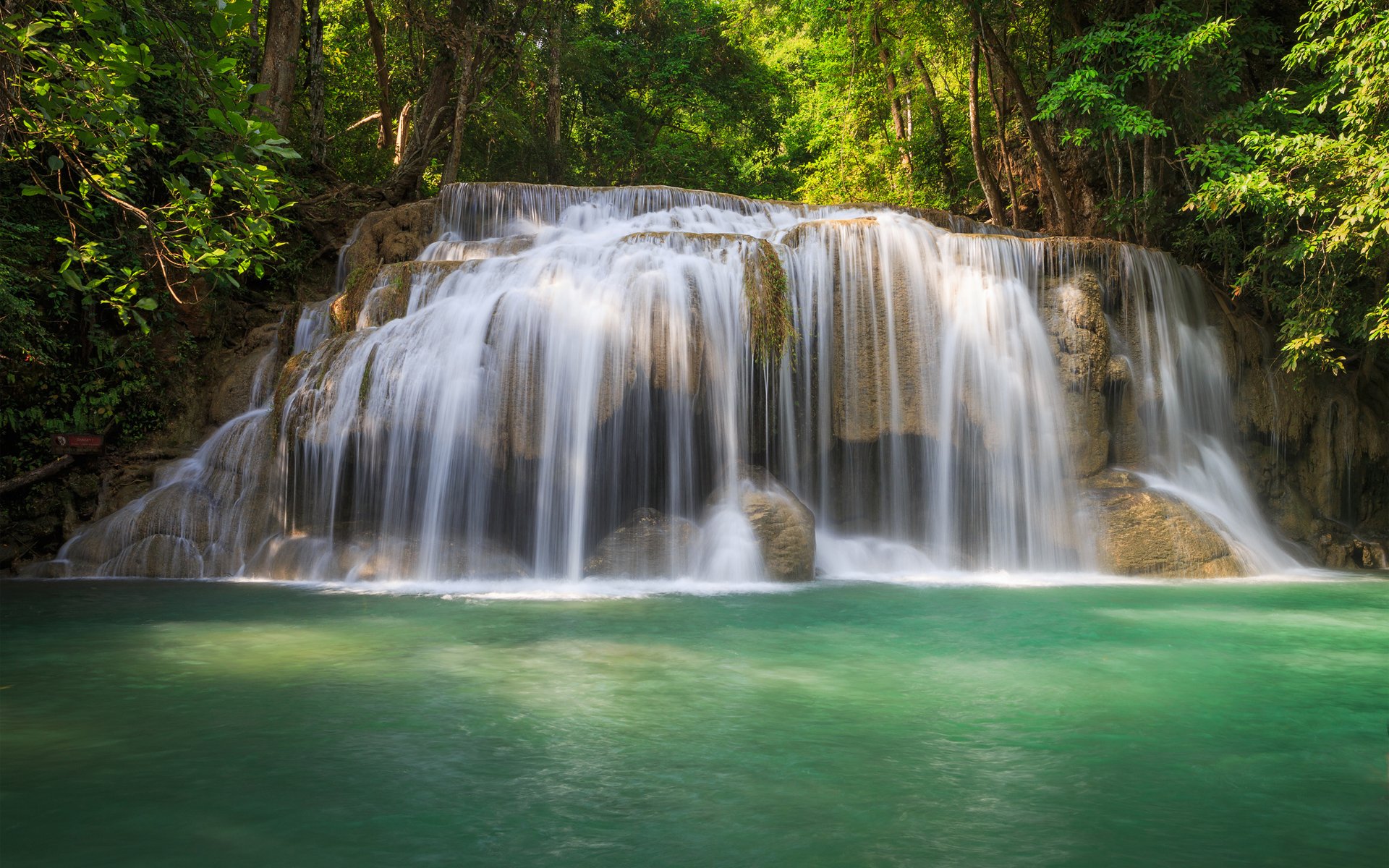 waterfall water forest tree green