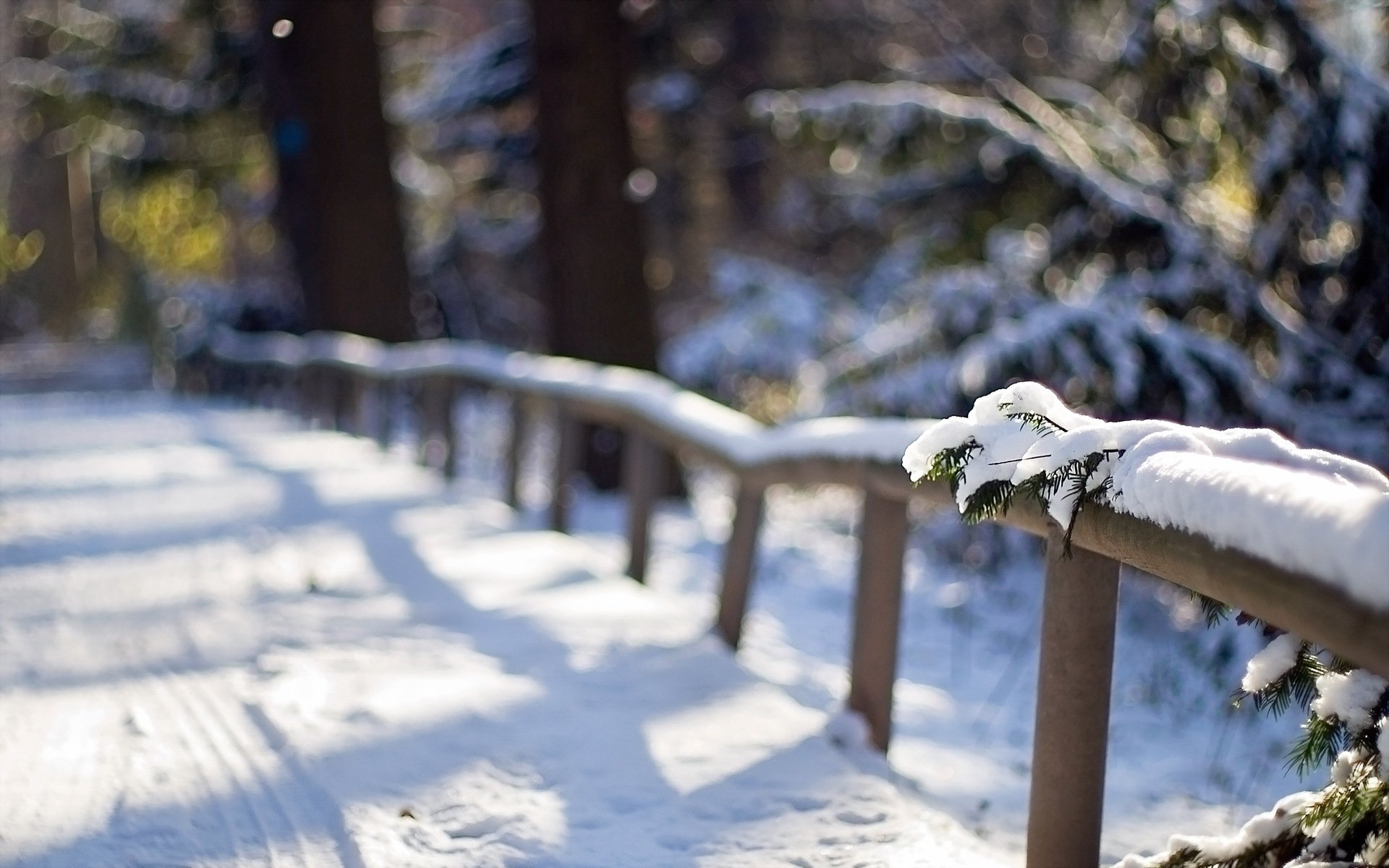 inverno neve recinzione macro