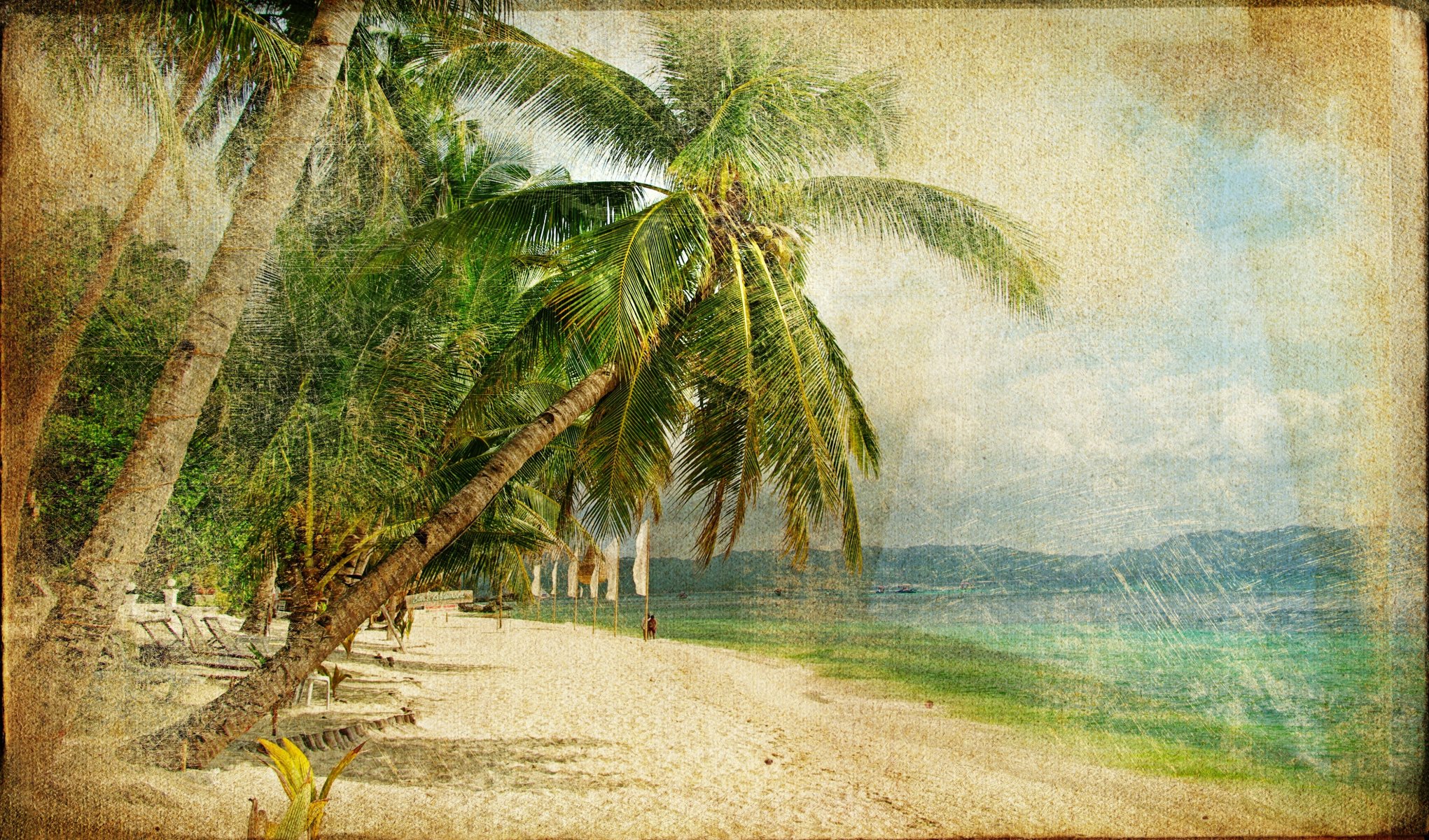 vintage vintage fotografía antigua palmeras mar costa gente