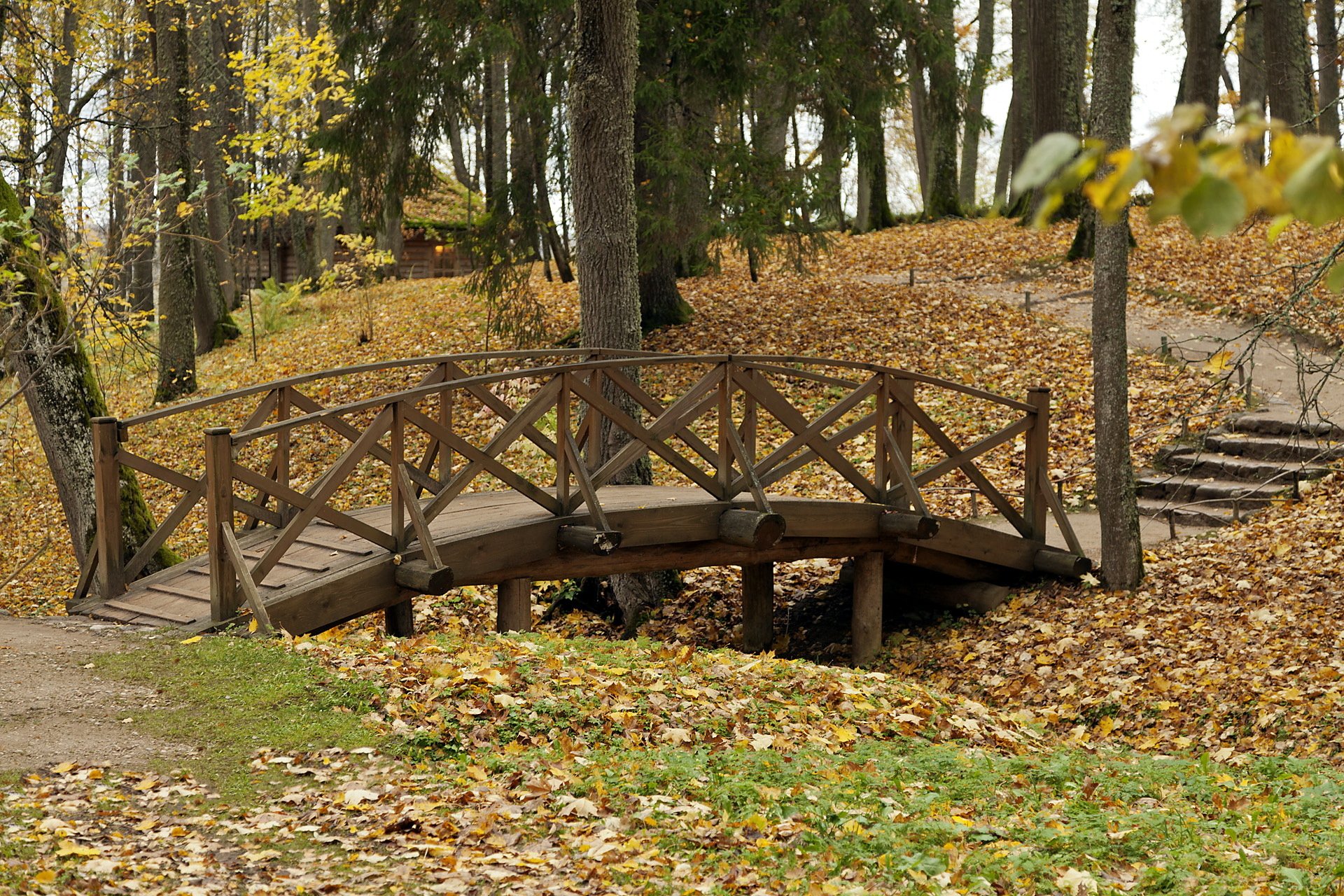 park herbst natur brücke