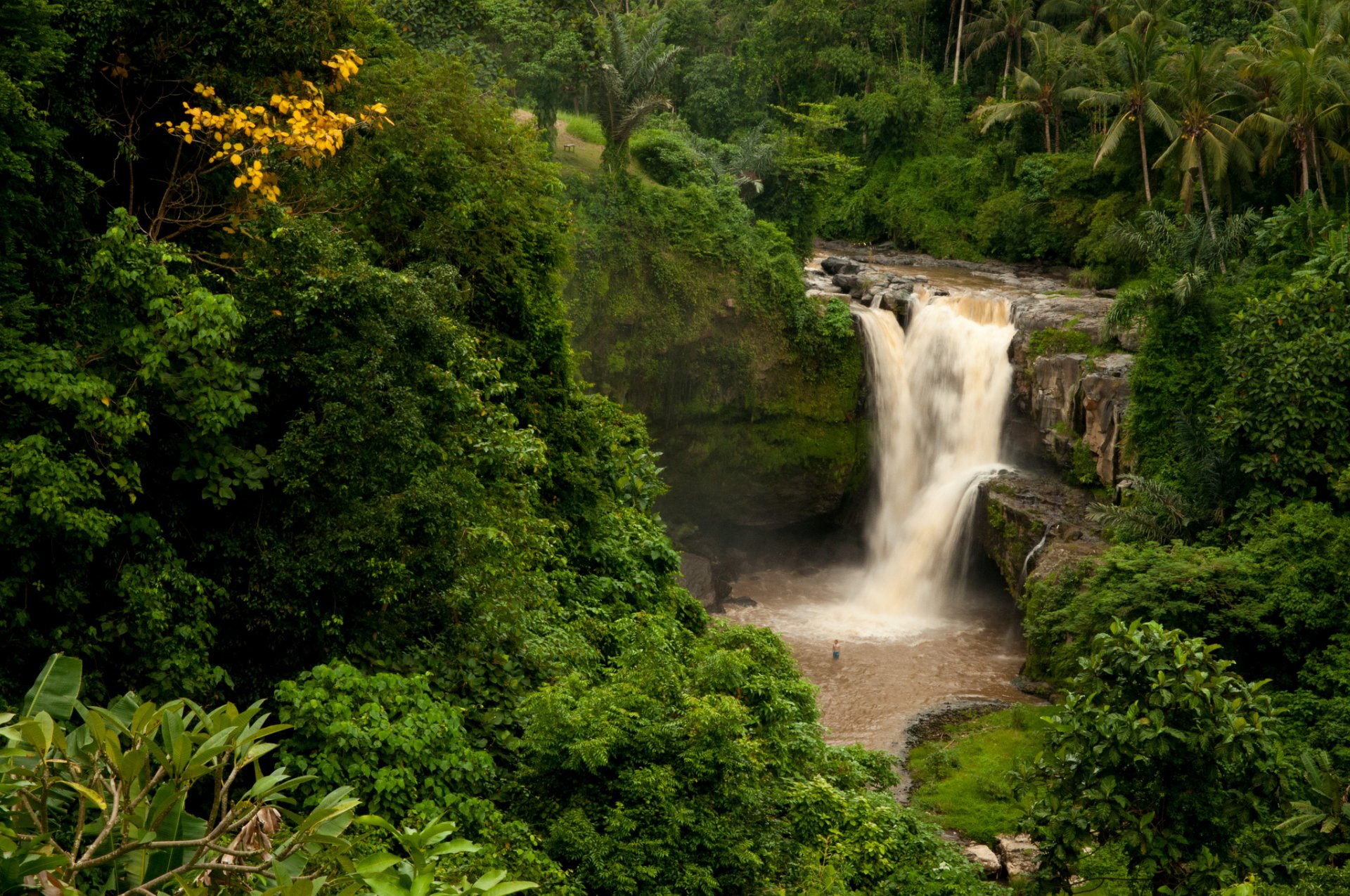 tegenungan waterfall bali indonesia indonesia waterfall forest palm trees rock