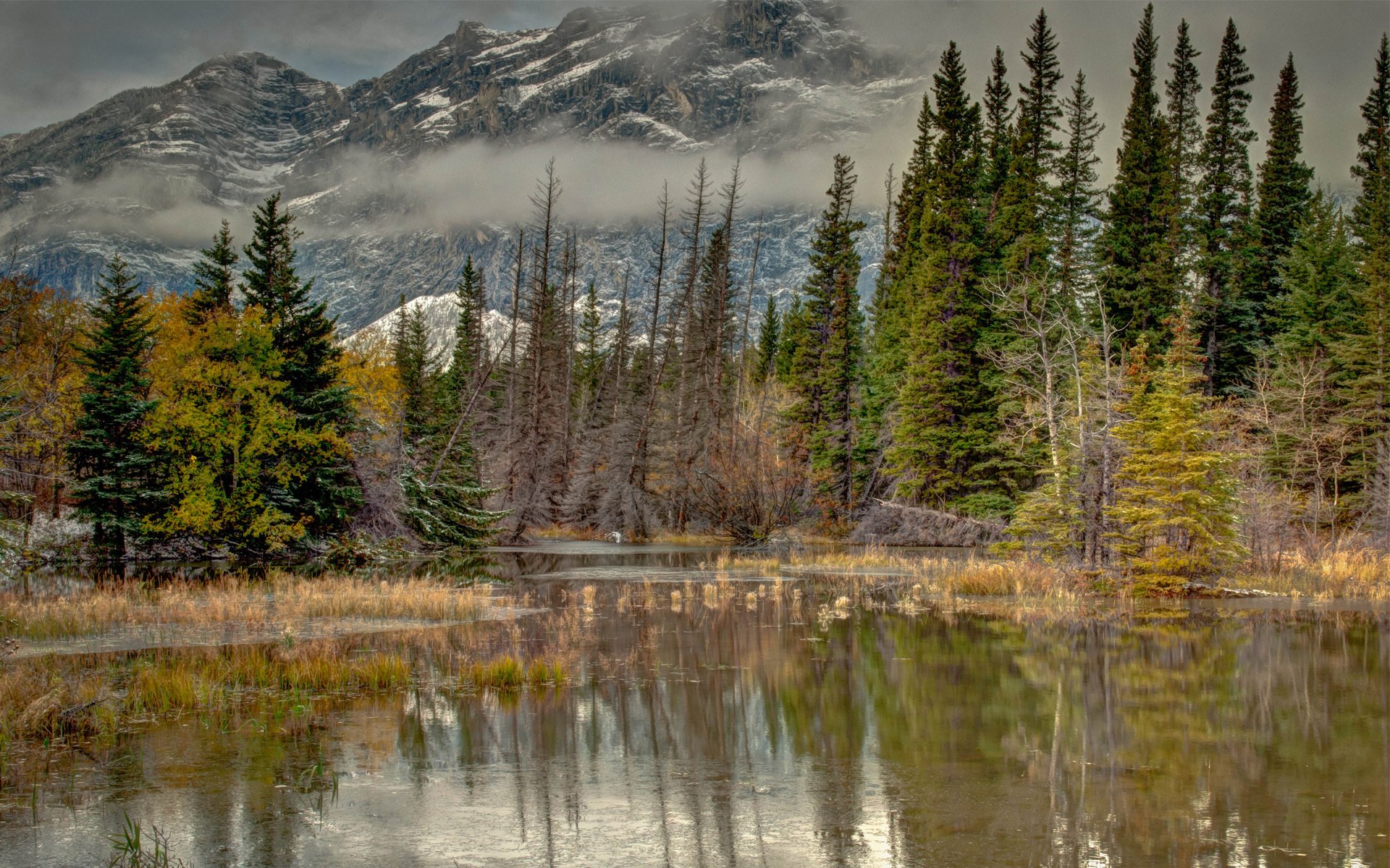 naturaleza otoño árboles montañas agua estanque lago niebla abeto reflexión