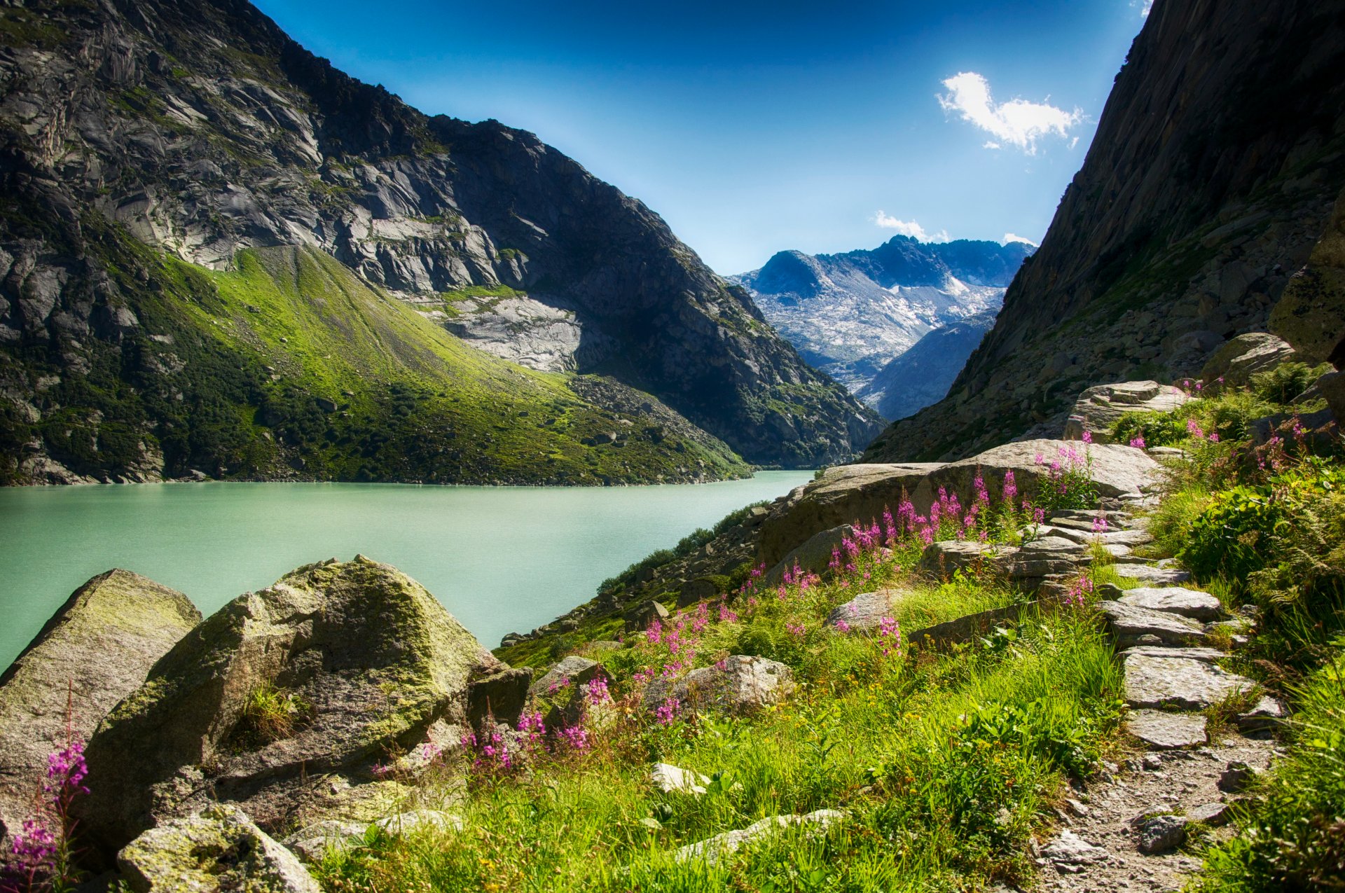 schlucht fluss berge blumen sonnig steine