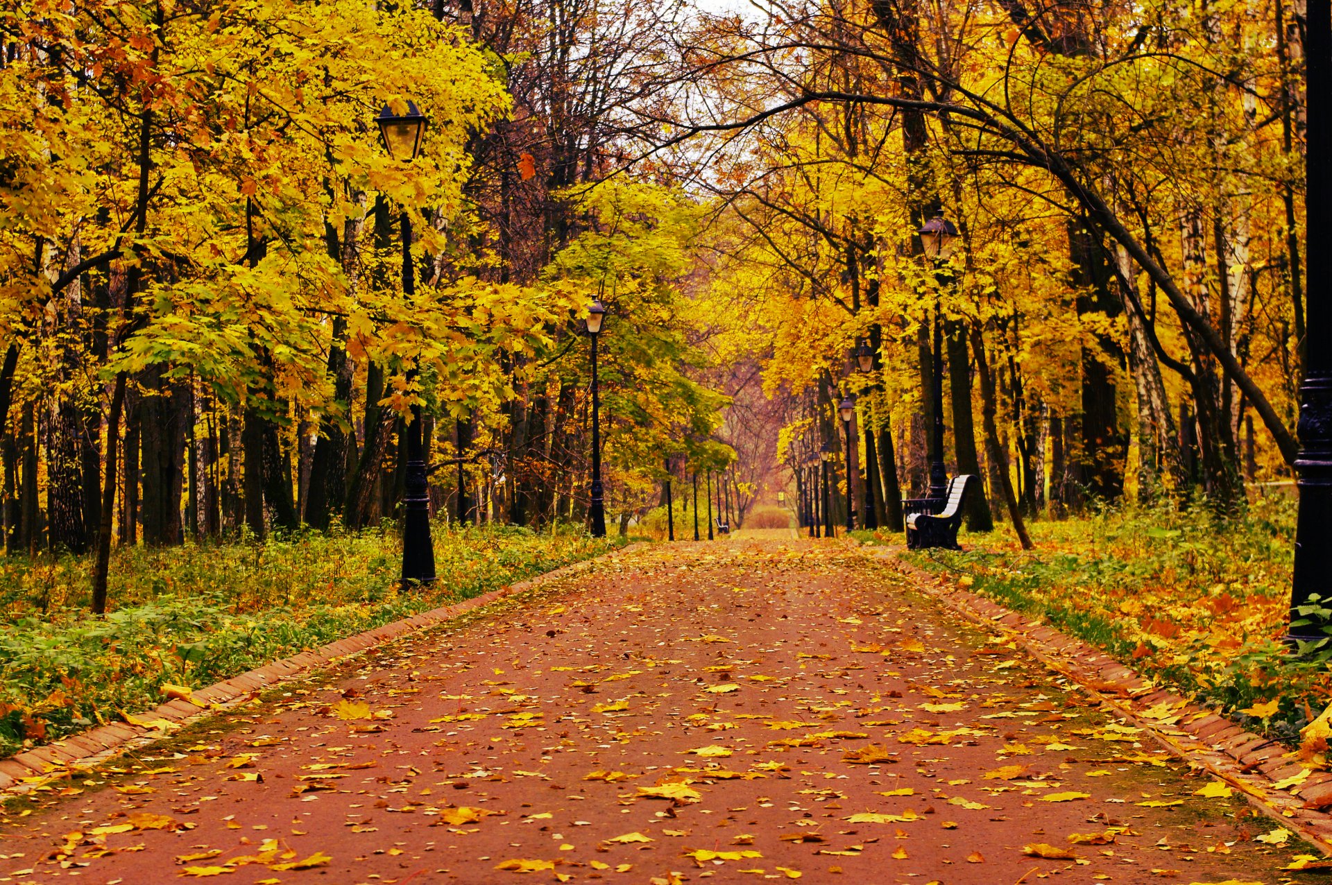 park forest loneliness shop bench mood