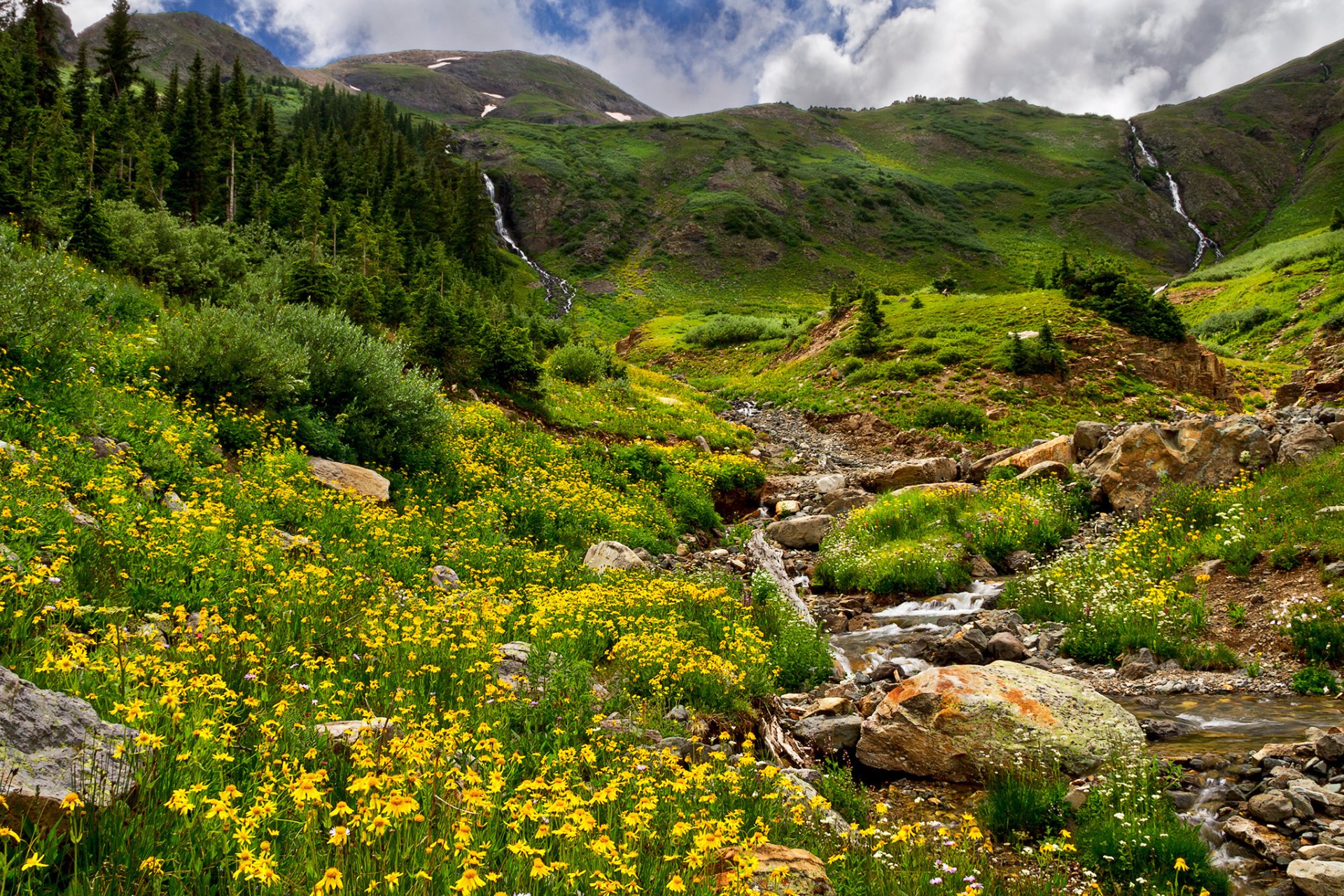 montagne alberi foresta ruscello rocce erba campo fiori natura