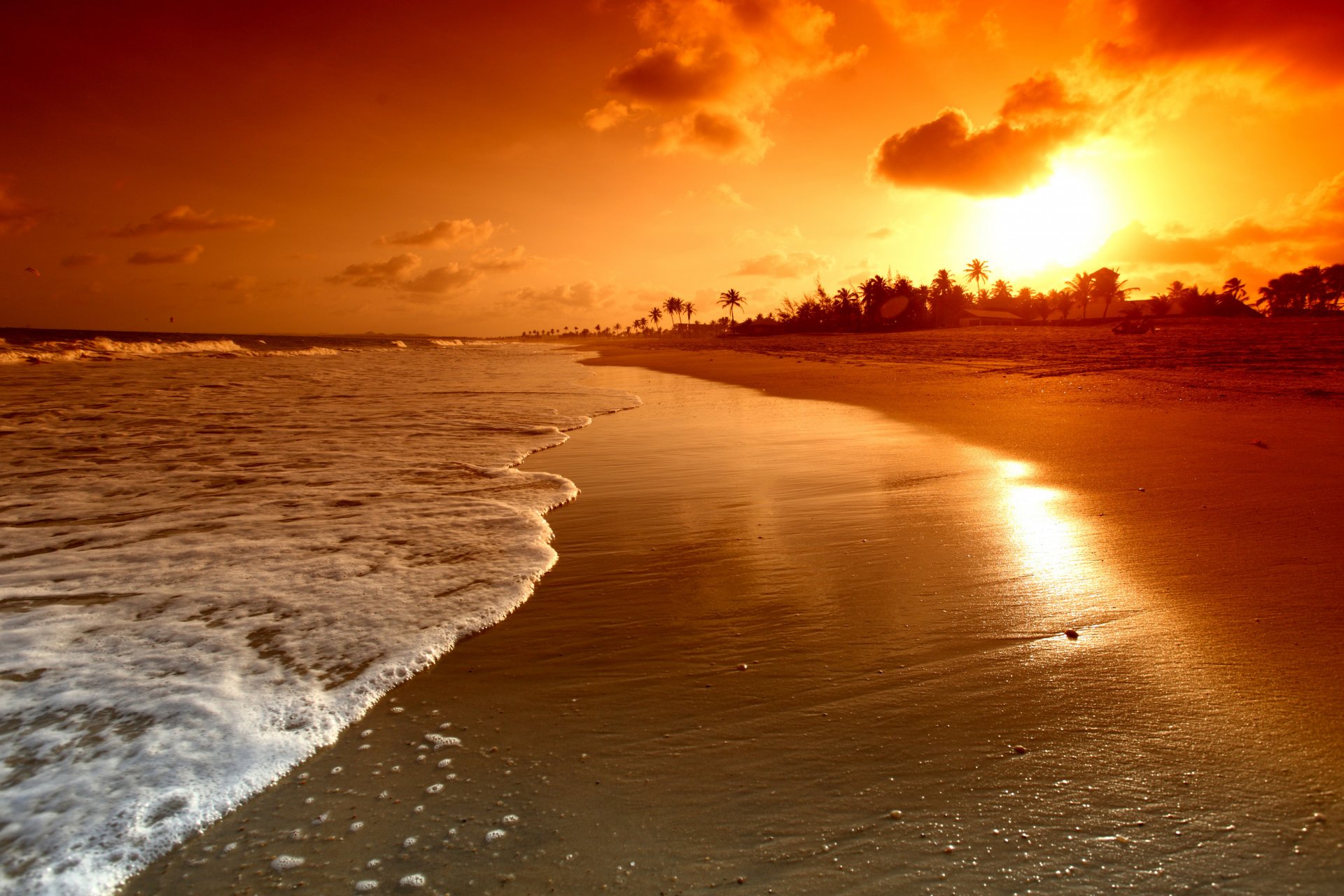 palmen meer natur landschaft wasser himmel wolken szene wellen strand sonnenaufgang schön atmosphäre