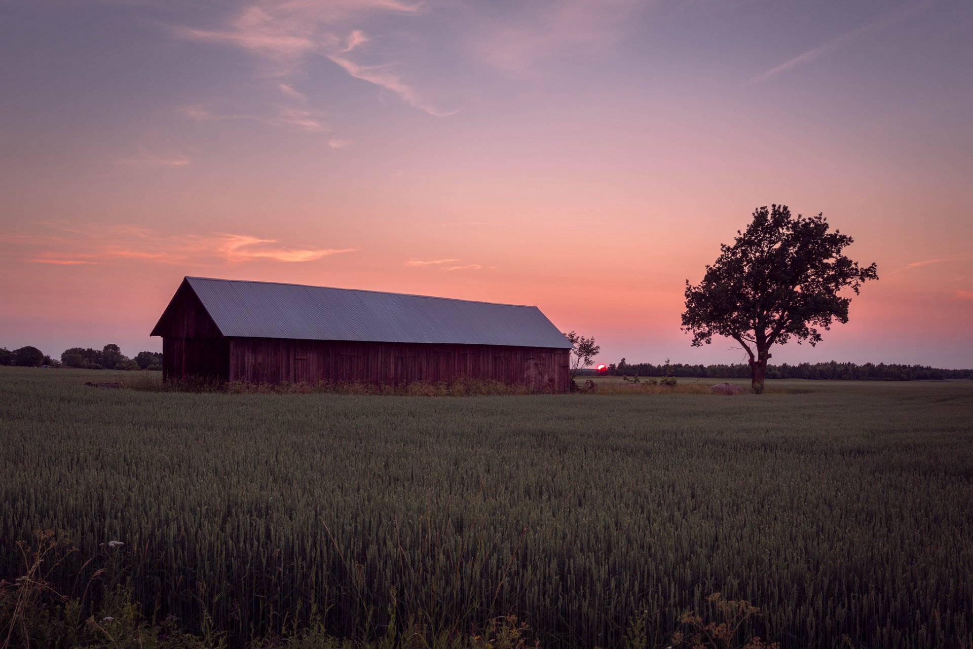 schweden feld lichtung bauernhof bäume abend sonne sonnenuntergang orange himmel wolken