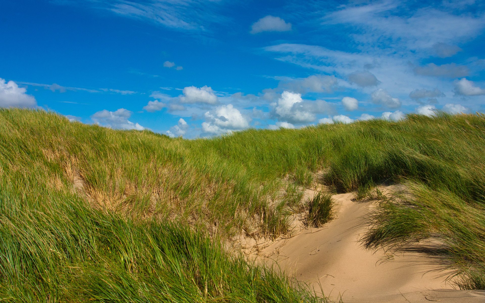 grass sand sky green clouds solar dune hill