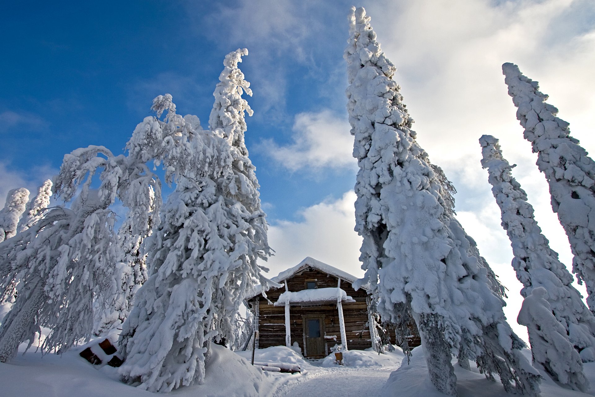 finlandia naturaleza invierno nieve derivas abeto cabaña