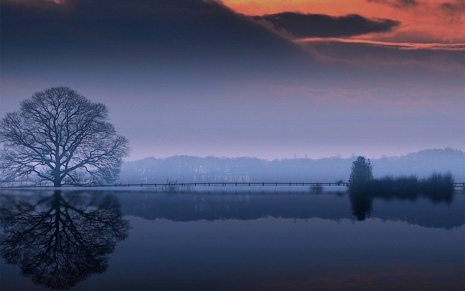 wasser oezro baum krone reflexion wolken