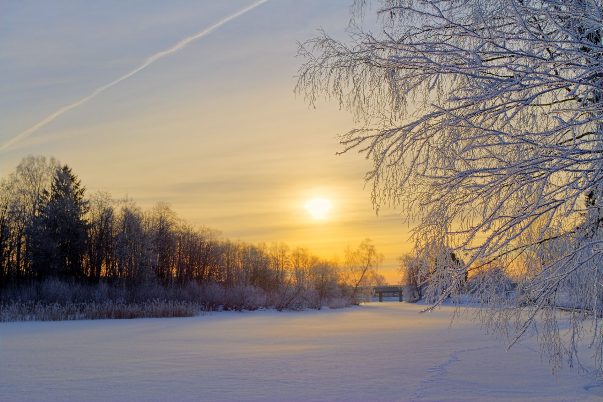 svezia inverno neve gelo foresta alberi radura mattina sole alba