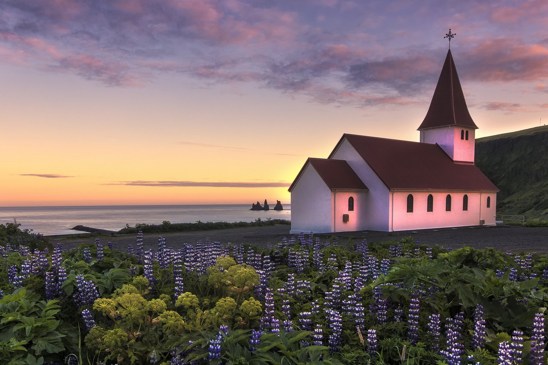 islande église fleurs lupins côte océan soir coucher de soleil ciel nuages