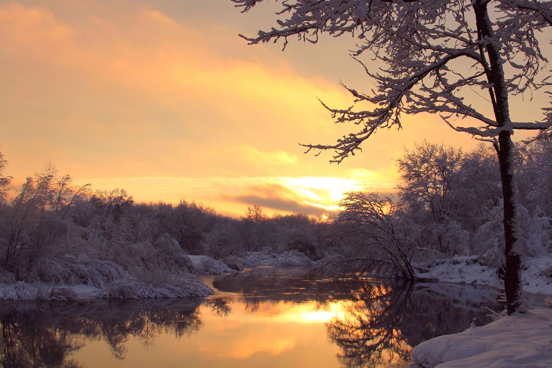 winter fluss bäume frost abend sonnenuntergang