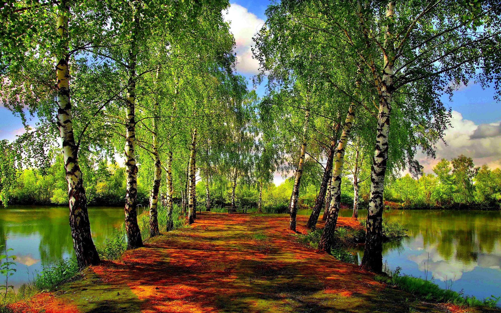 lago fiume alberi verde primavera foresta cielo nuvole