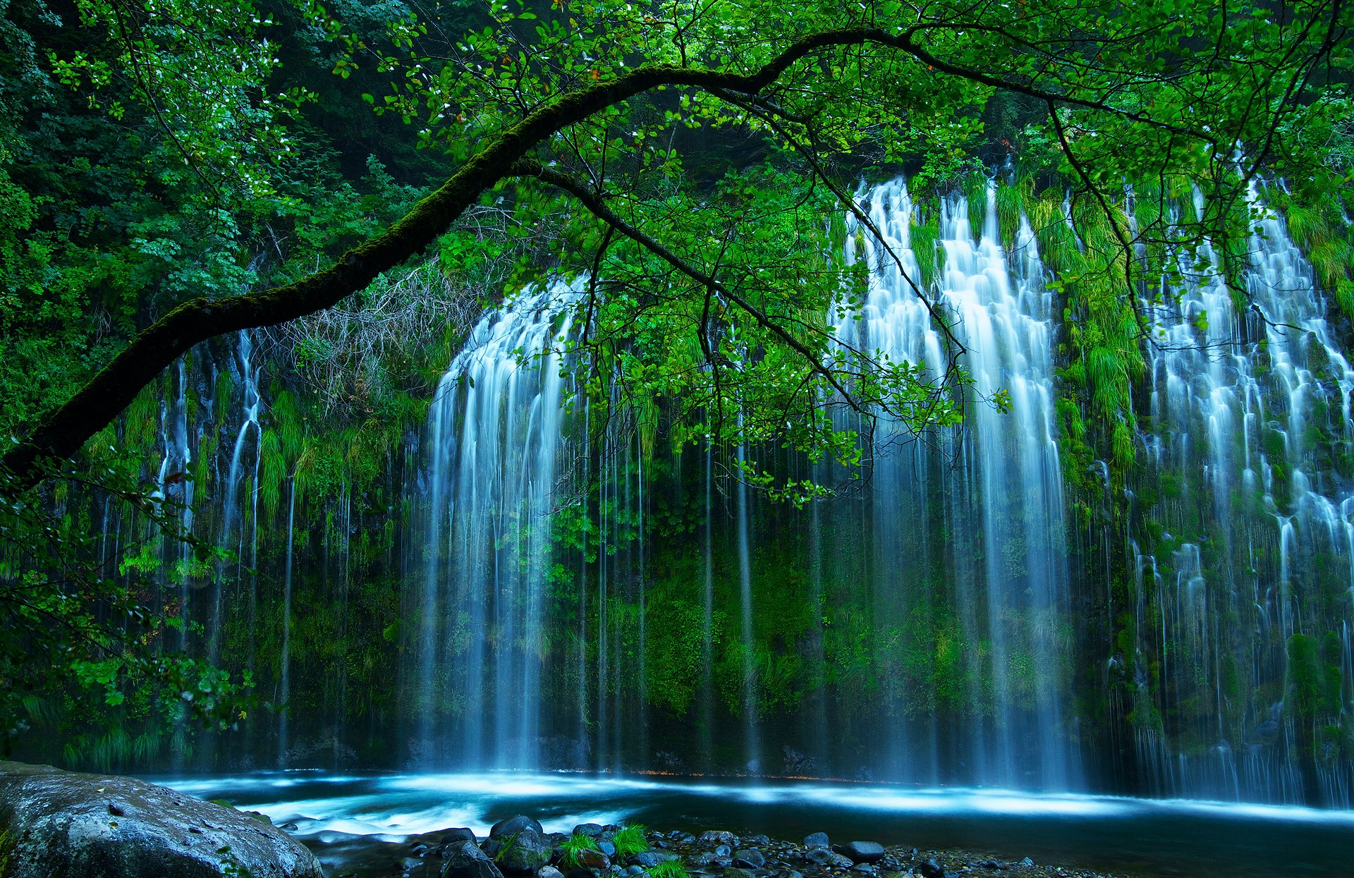 états-unis californie du nord dunsmuir shasta retreat chutes mossbrae rivière sacramento nature cascade arbres verdure photographie erno