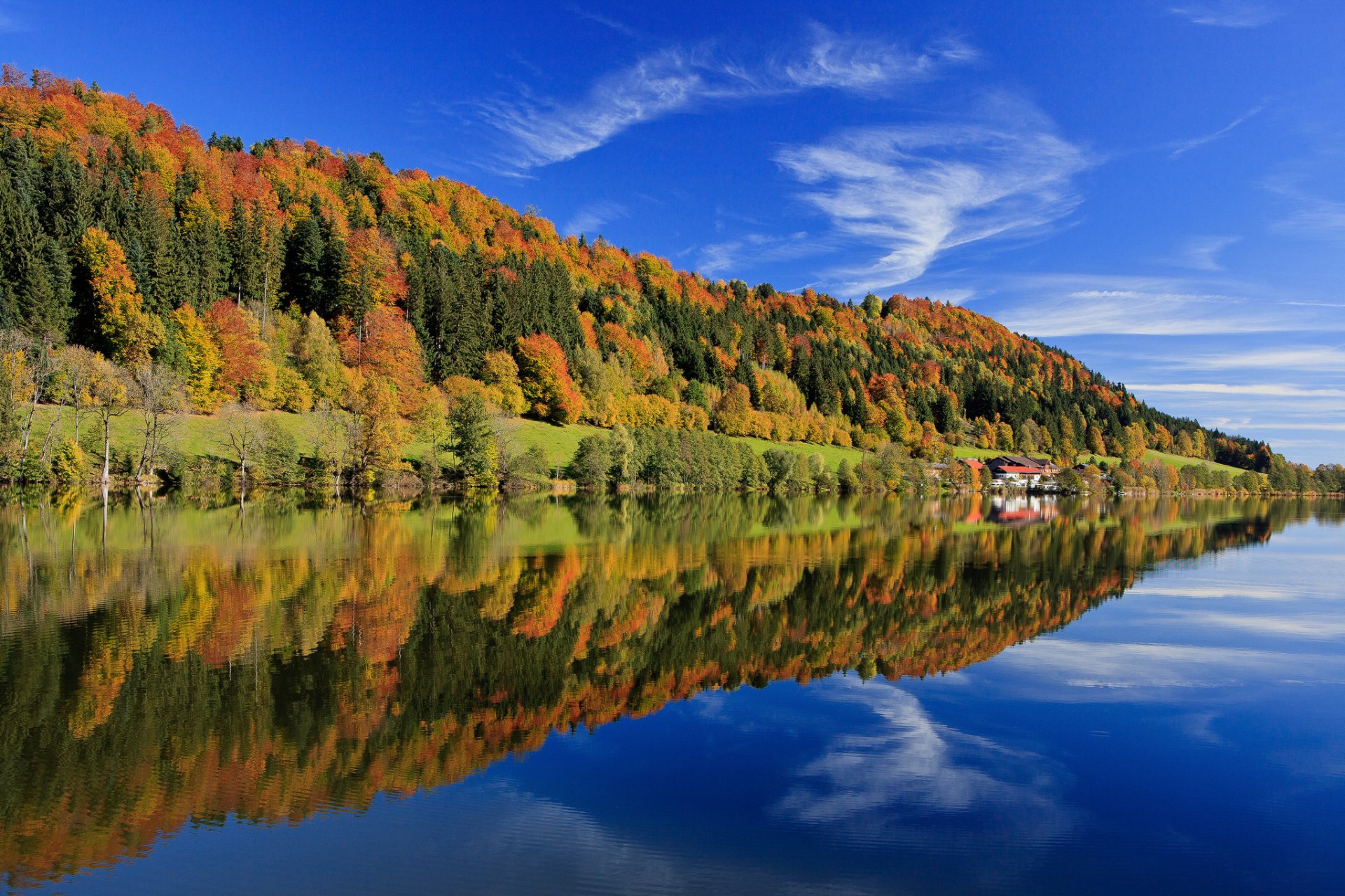 alemania baviera otoño bosque árboles multicolor hojas azul cielo nubes lago reflexión