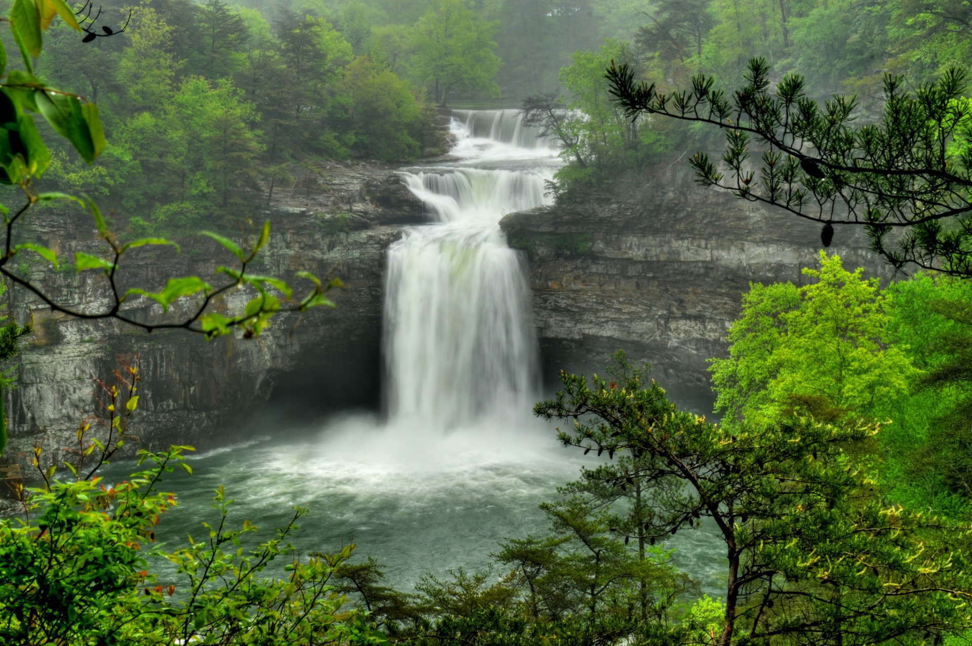 soto falls alabama cascada corriente rocas bosque árboles ramas