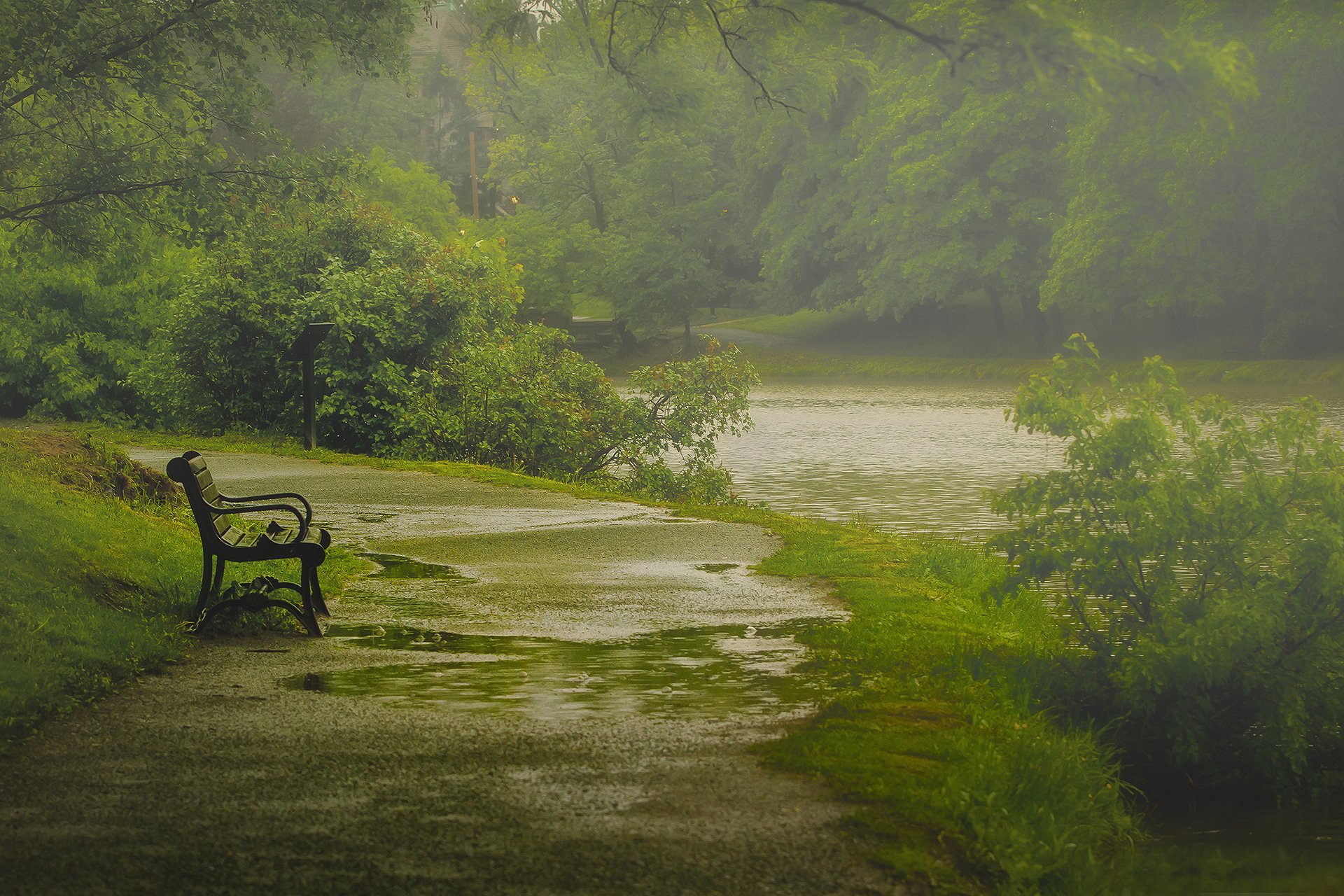 nature albany washington park boutique pluie printemps mai paul jolicoeur photographie