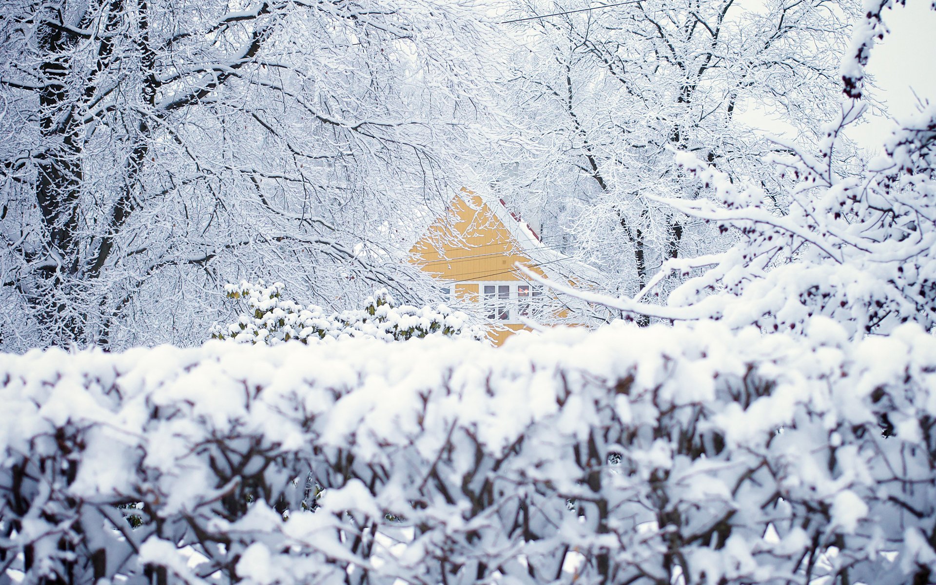 noruega oslo invierno nieve casa árboles