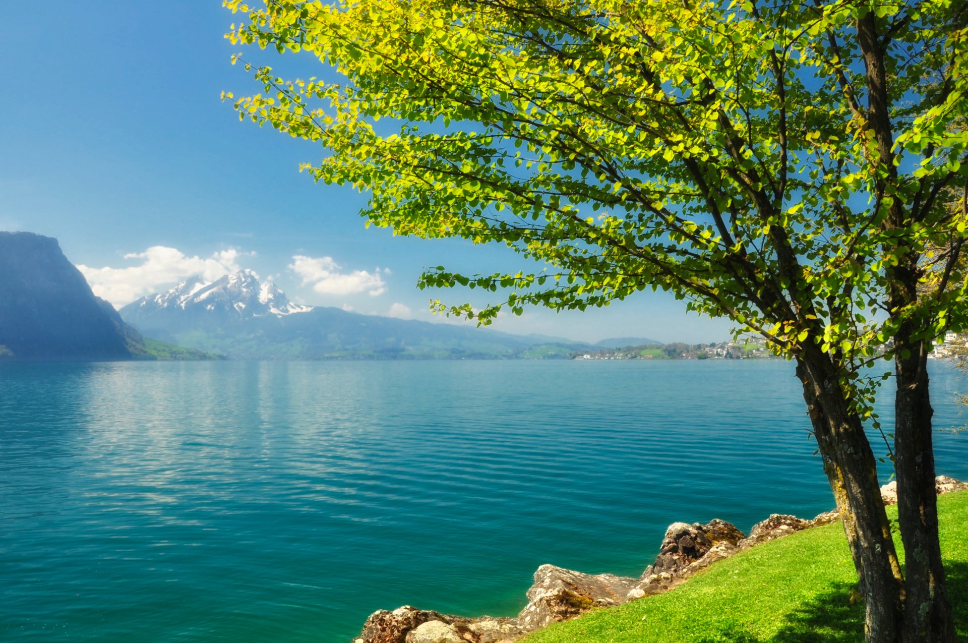 riva lago fiume albero soleggiato montagne