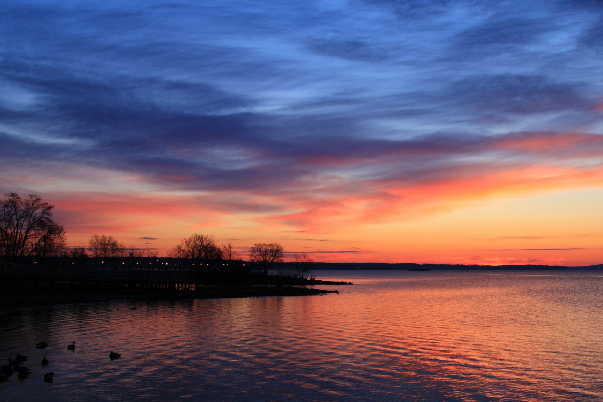 noche lago costa árboles patos aves puesta de sol cielo nubes