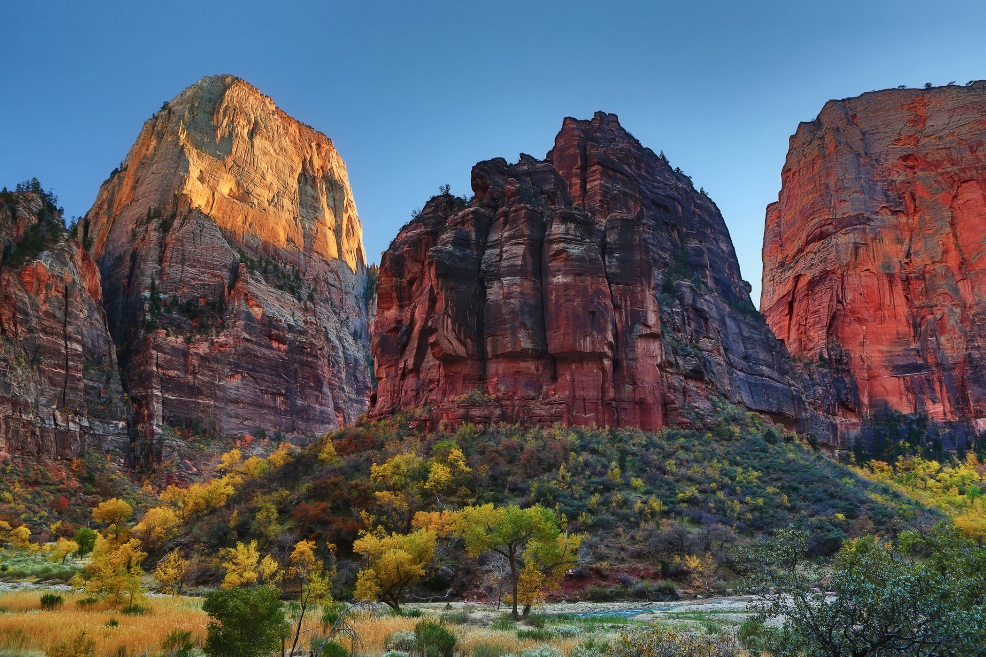 natura klify krzewy drzewa jesień niebo usa park narodowy zion zion utah