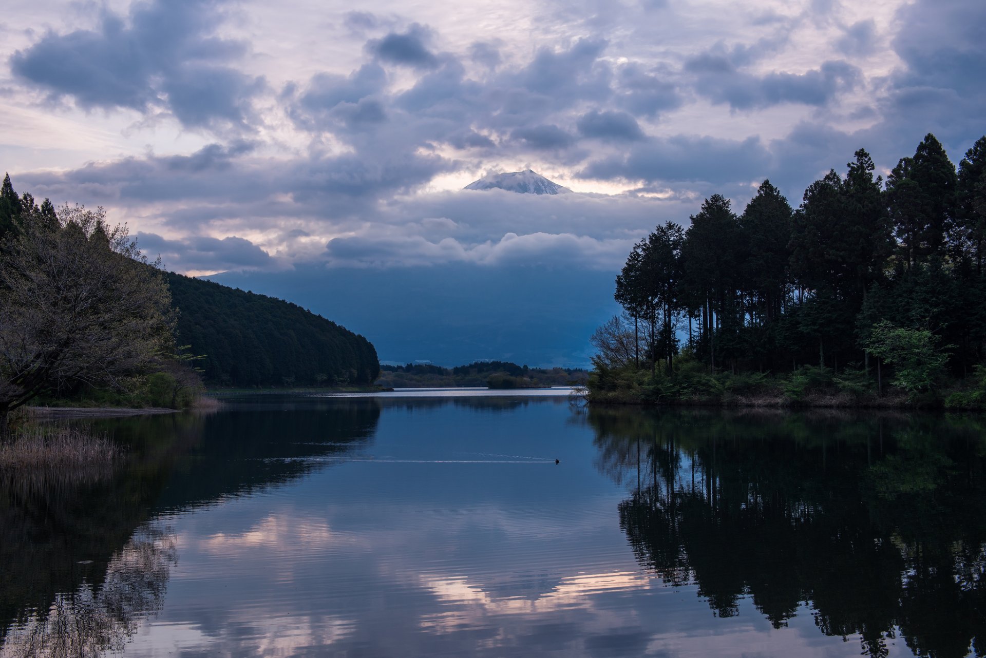 japon honshu préfecture de shizuoka soirée volcan montagne fuji fujiyama lac réflexion arbres forêt ciel nuages