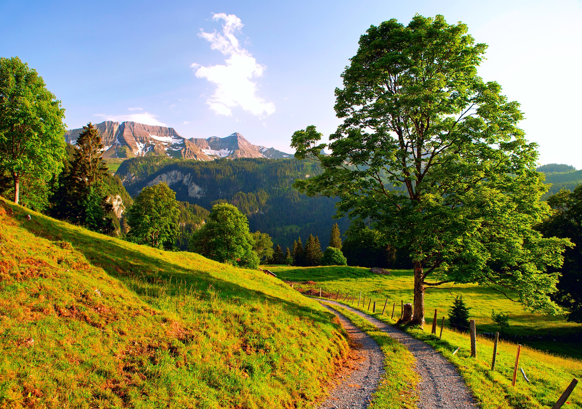 schweiz berge alpen straße sommer