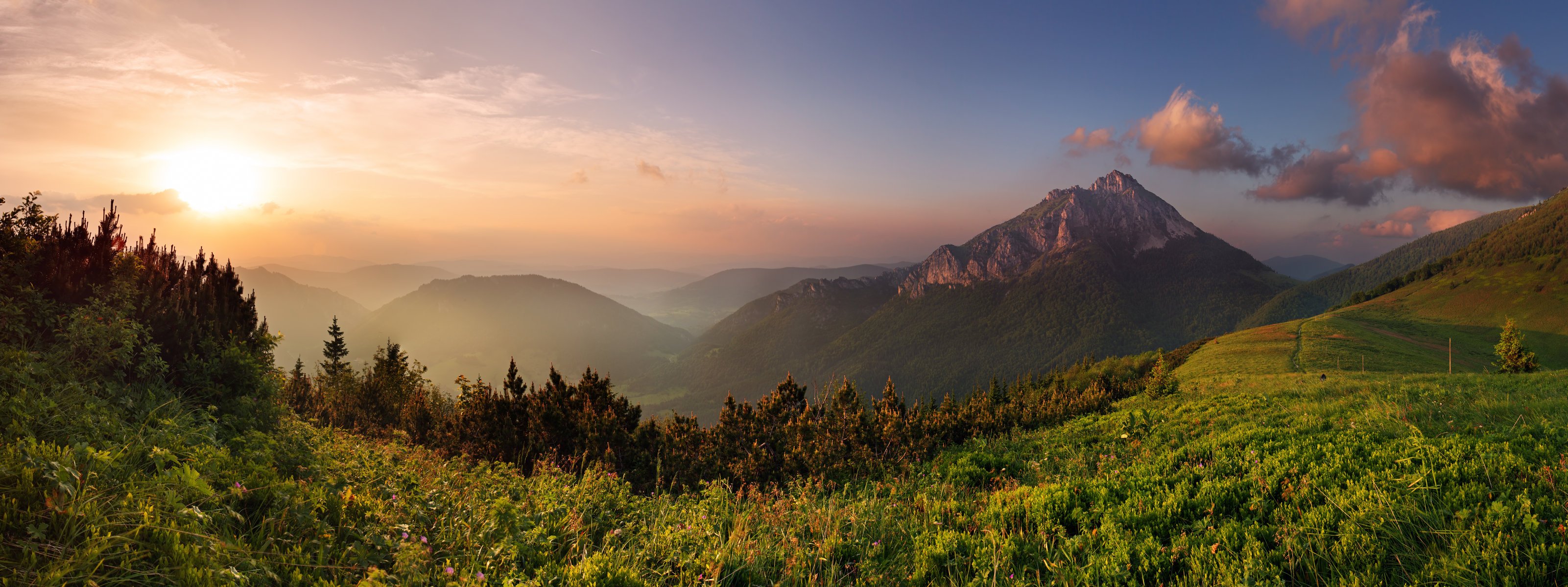 berge wolken wald gras