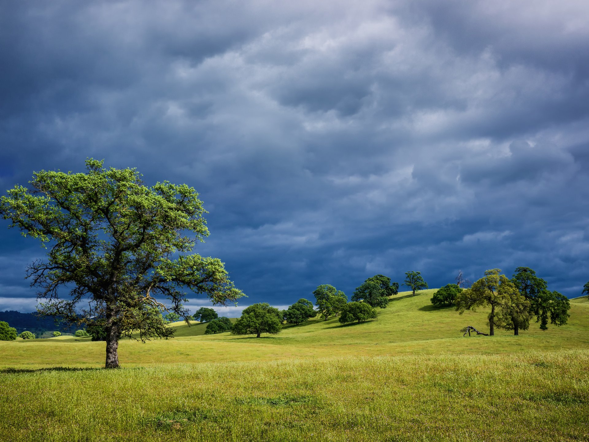 estados unidos california colinas hierba árboles primavera azul cielo tormentas eléctricas nubes paisaje