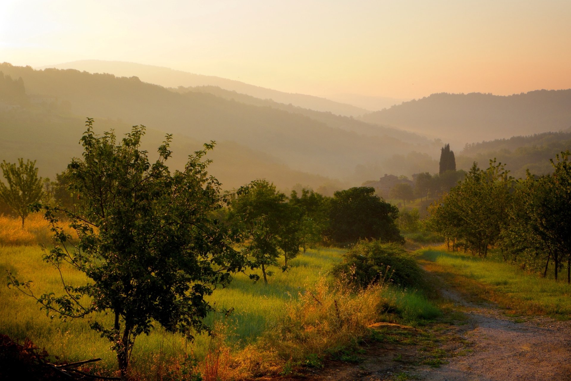 castellina in chianti toscane italie castellina in chianti brouillard matin lever du soleil soleil nature paysage collines jardins arbres herbe sentier route